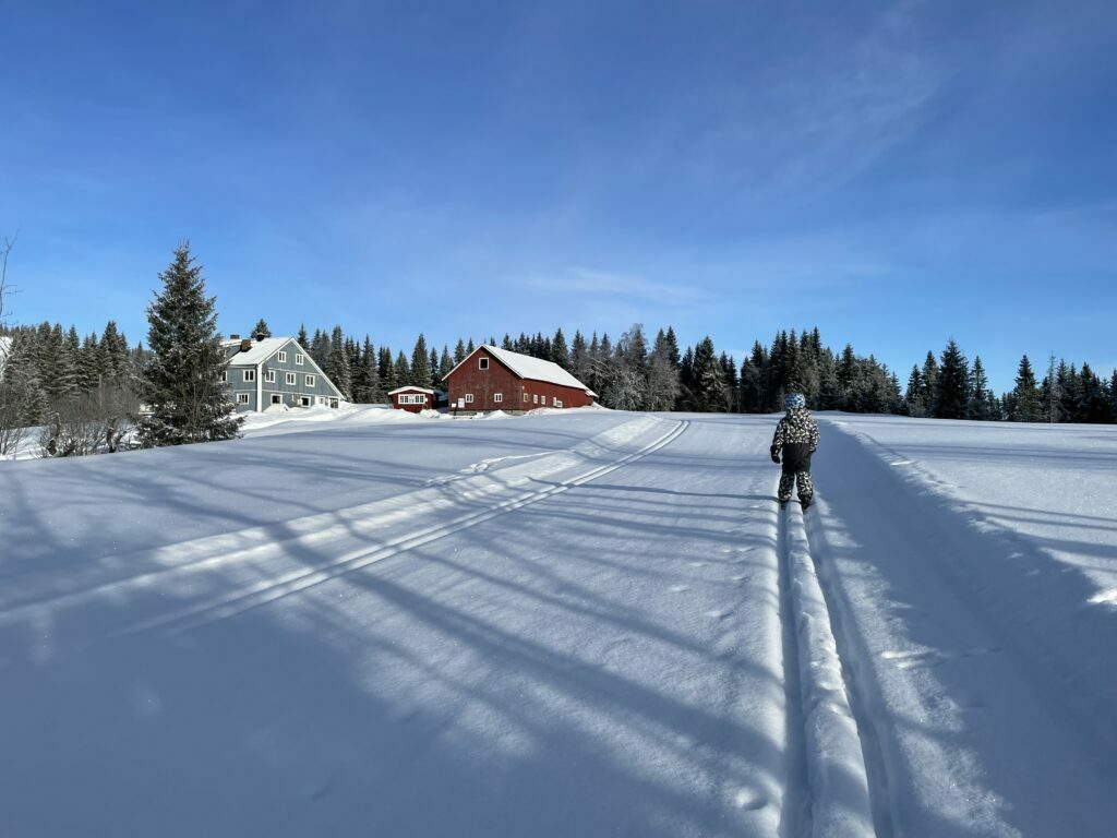 A young boy out skiing in a beautiful winter landscape