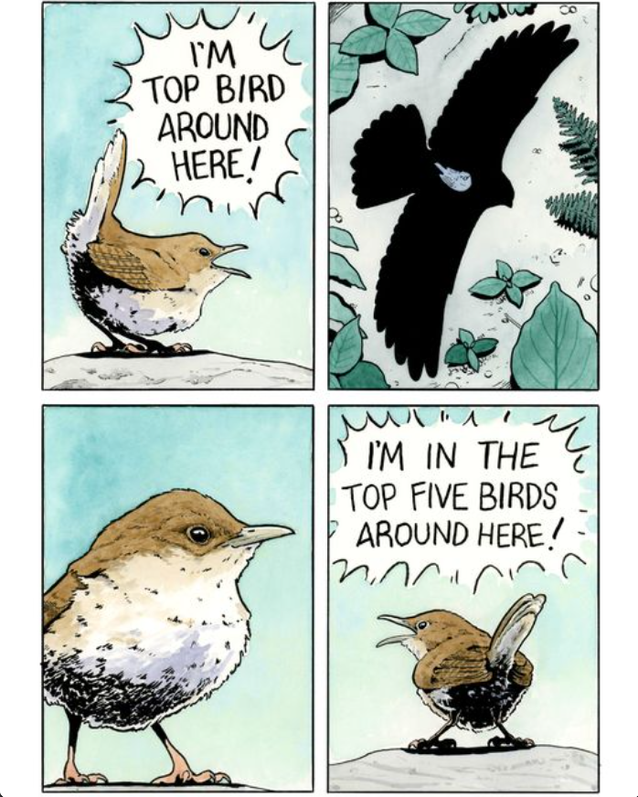 A four panel comic showing a self-confident bird being a little bit humbled by the shadow of a big bird, going from stating that he's top bird around here in the first panel to saying he's in the top five birds around here in the last panel.