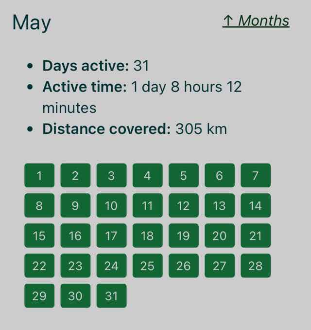 Screenshot from the linked workout log showing green days through all of May 2025